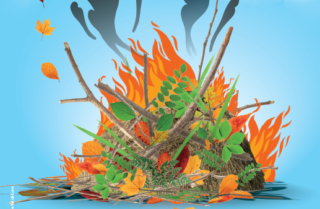Élimination des déchets